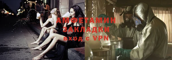 крисы Абаза
