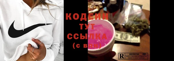 крисы Абаза