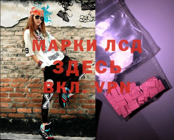 крисы Абаза