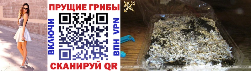 MEGA маркетплейс  Алатырь  Галлюциногенные грибы Cubensis 