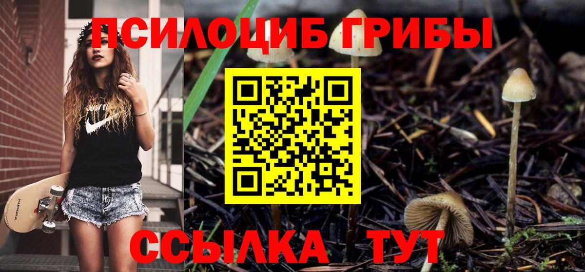Псилоцибиновые грибы Psilocybine cubensis  Вход с VPN  Алатырь 