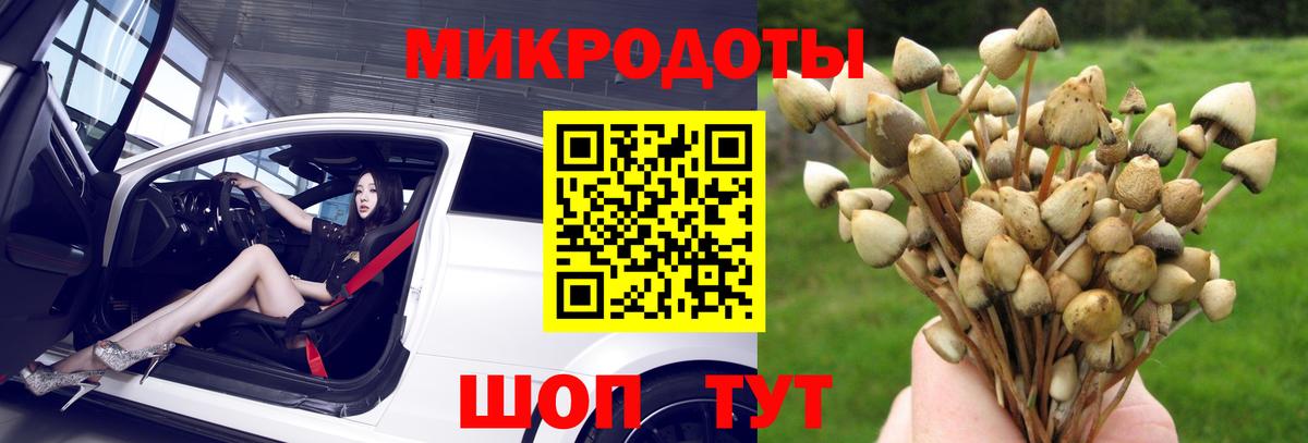 Псилоцибиновые грибы мухоморы Алатырь