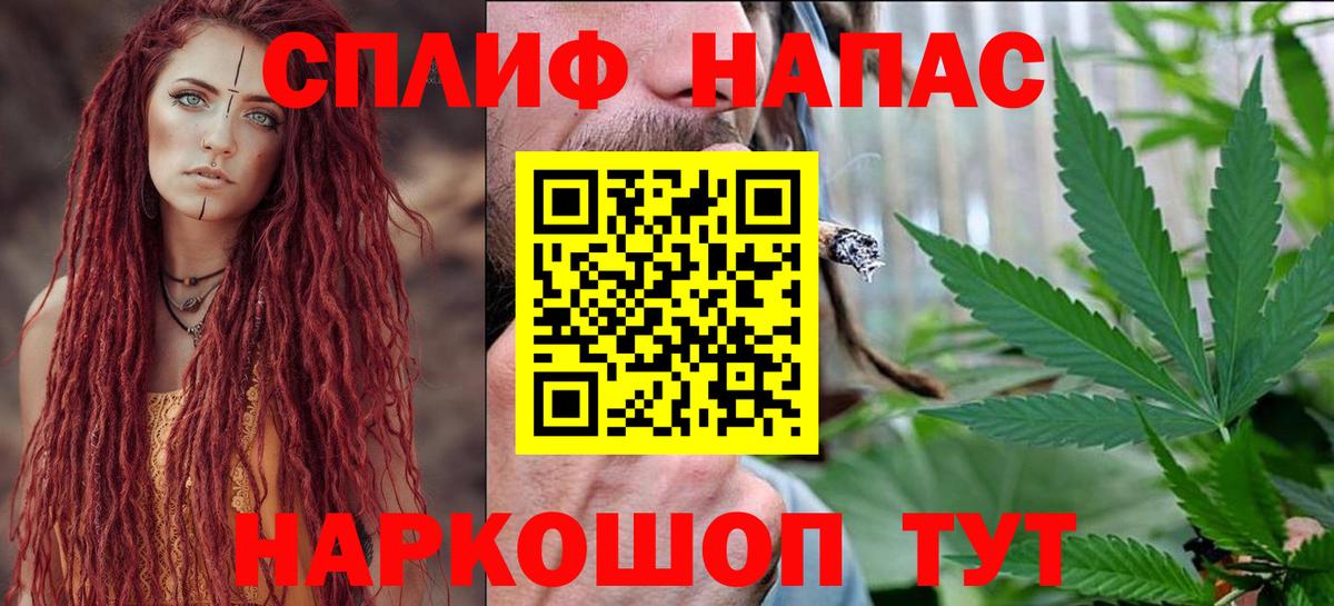 Канабис сатива Алатырь